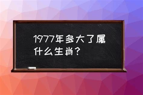 1977年屬什麼|1977年属什么属相 1977年出生属什么生肖